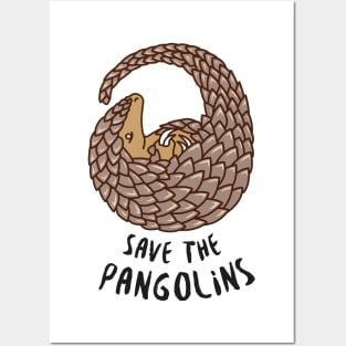 Save the Pangolins - Curled up Pangolin Posters and Art